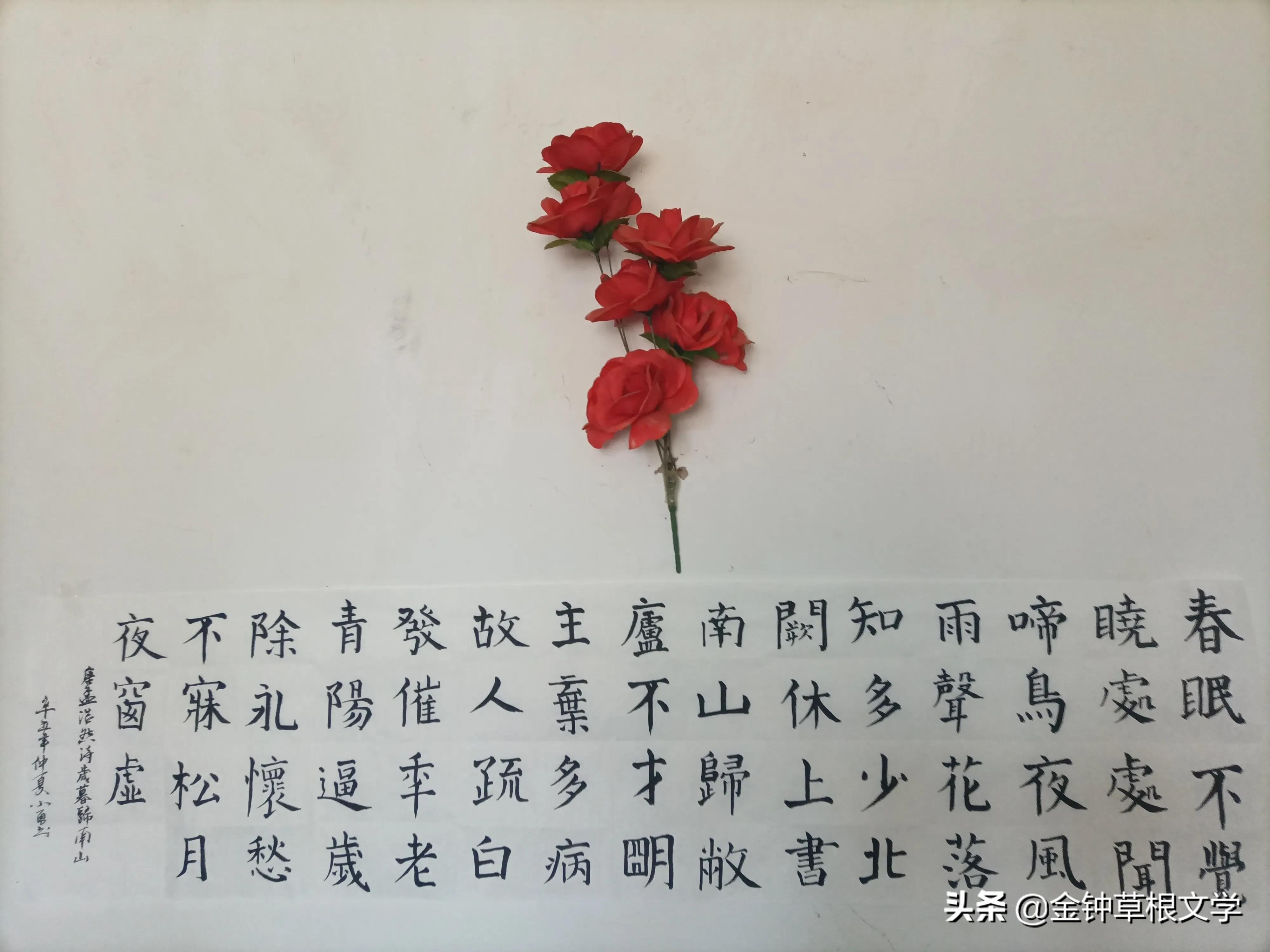 「校园文学」我们（初中生作文）