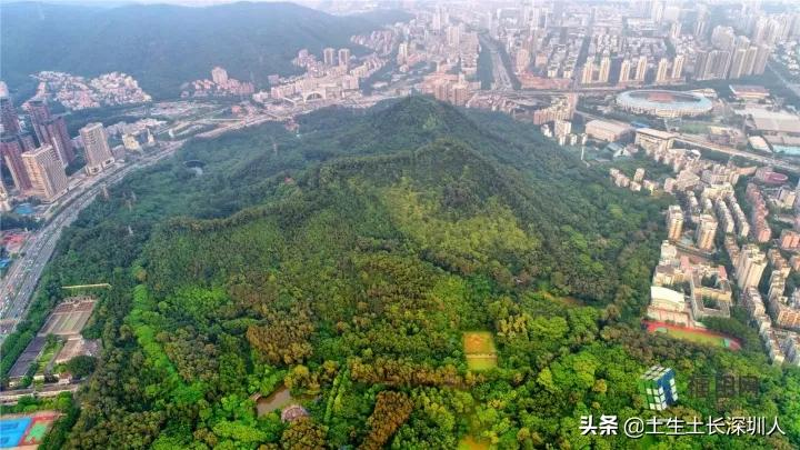 深圳这些山你肯定没少爬，但它背后的含义你知多少