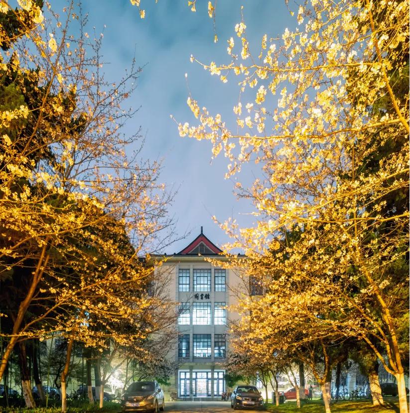 江苏省高校(十四)南京林业大学