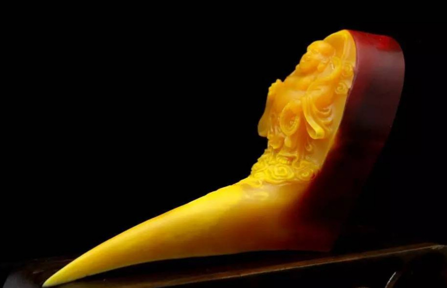 世祖本纪》当中,当时盔犀鸟的头骨被当做贡品由罗斛国(泰国)进贡