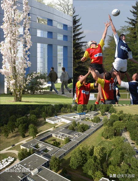 巴黎高等商学院｜欧洲最著名的商学院之一，是世界商业领袖的摇篮