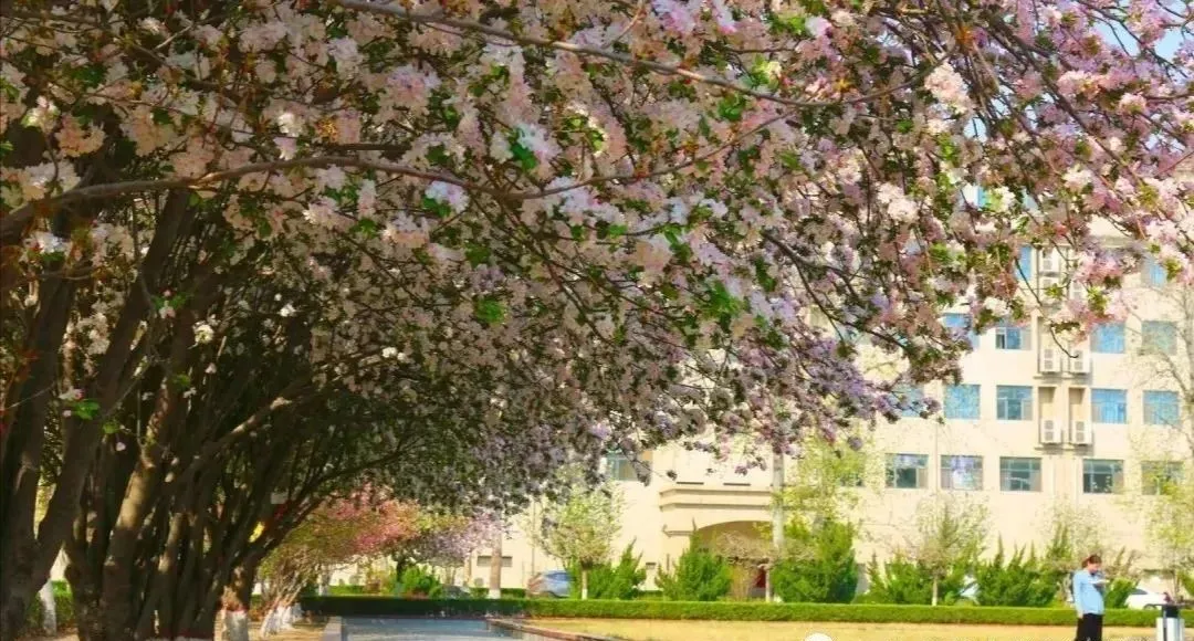 汇华学院进全国独立学院排名前十！今年首次专接本招生