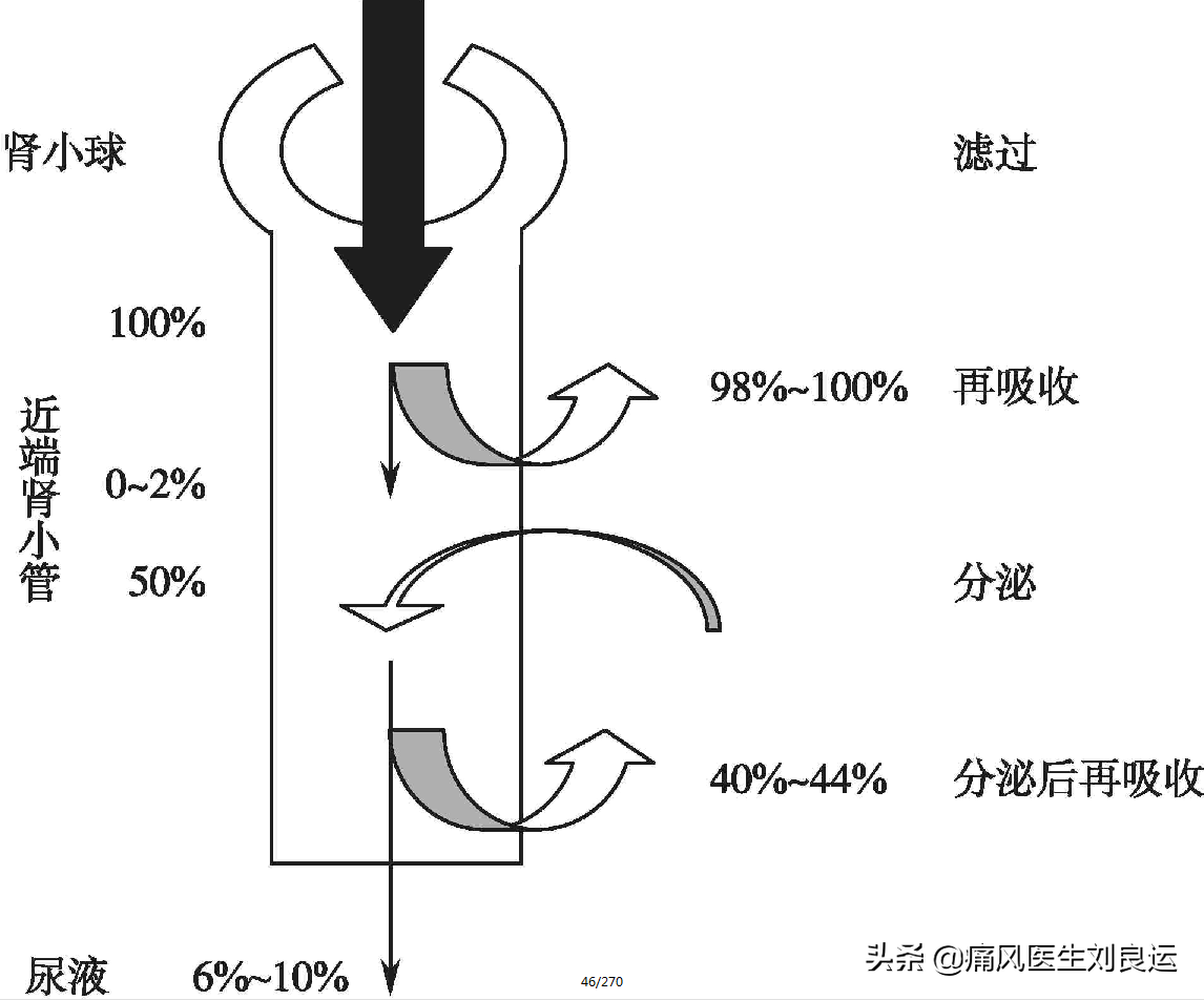 治痛风用药降尿酸需定期做什么检查？六项指标及时发现肾脏问题