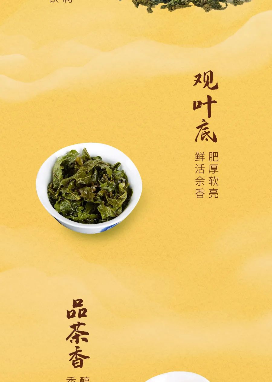 2021铁观音秋茶限量上市！山国工夫茶，懂茶人的选择