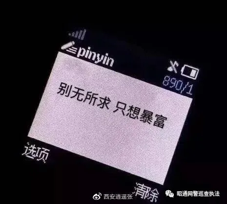 集资诈骗罪,集资诈骗罪与非法吸收公众存款罪的区别