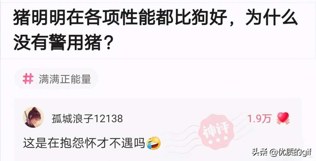神评爆笑合集：公司加班没工资，但是有晚餐吃，你能接受吗？