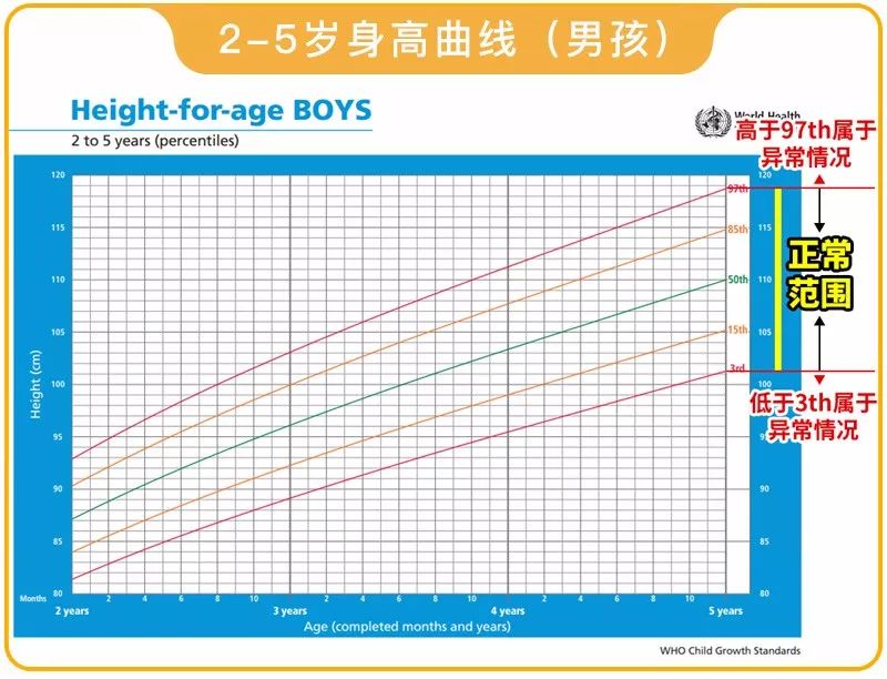 梅西实际身高(曾被医生断言身高不超1米5的梅西，是如何长到1米7的？)