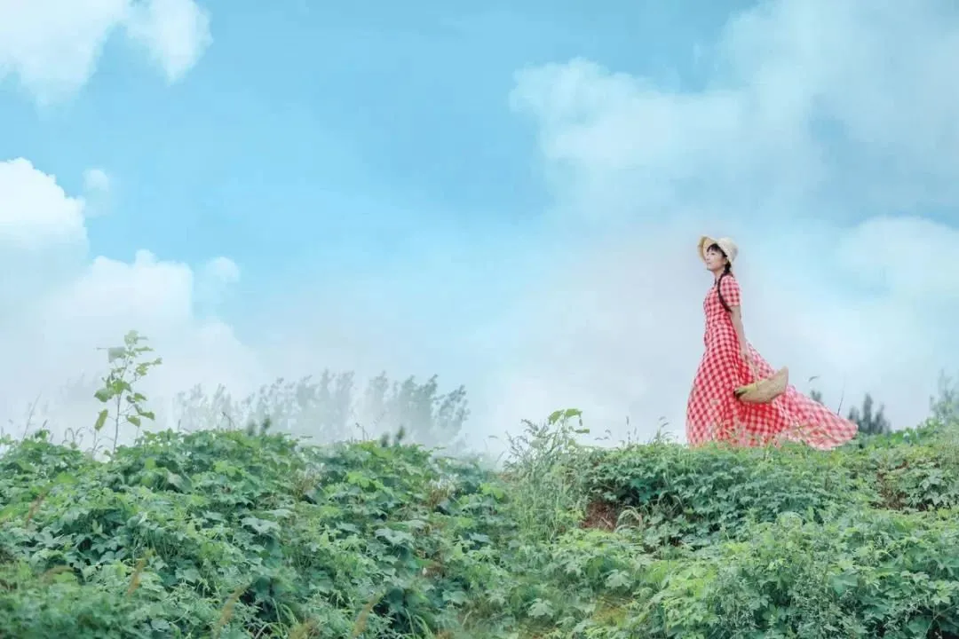 哈佛博士后入职街道办，歌手李佳薇兼职房产中介：没钱谈什么体面