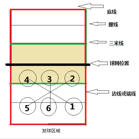 排球轮转规则(如何观看女排比赛 知识点之一：场地，得分以及人员配置)