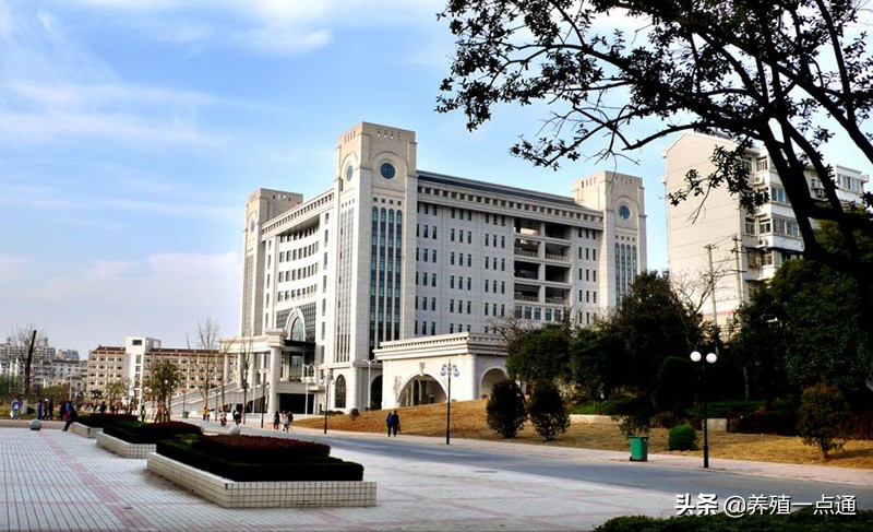 陈宏权，安徽农业大学动物科技学院教授、博导，动物遗传育种专家