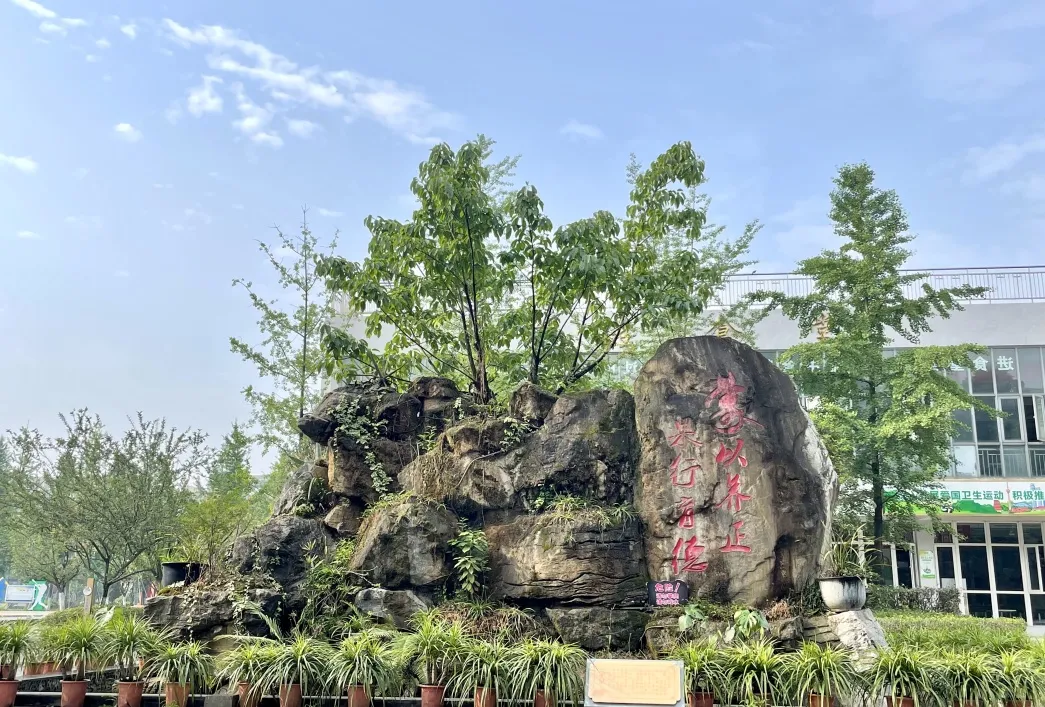 「招聘公告」棠湖中学实验学校2021年自主招聘教师公告