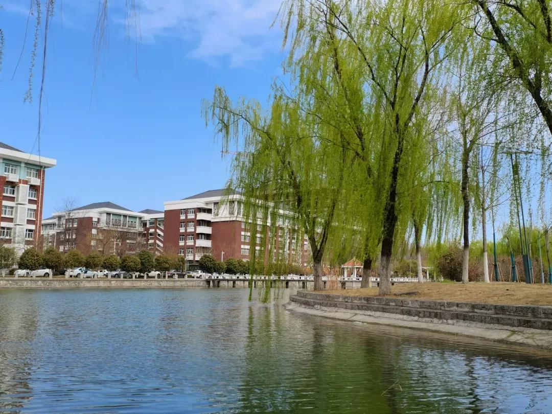 淮北师范学校,淮北师范学校-爱妻自媒体