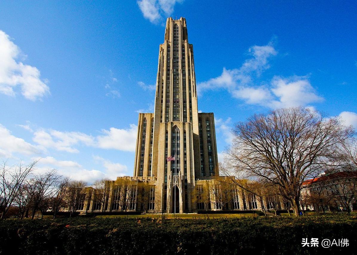 美国50所在大城市的最好大学