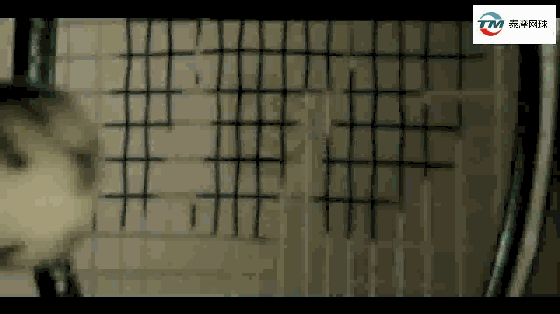 网球拍头是什么（老手购买网球拍，他们都这样选）