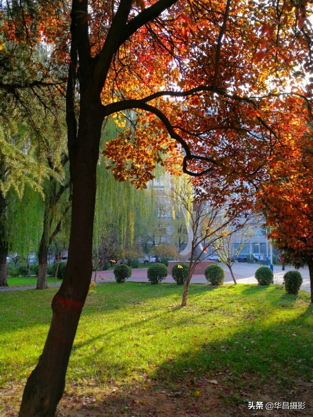 临汾学院：梦幻校园如诗醉人