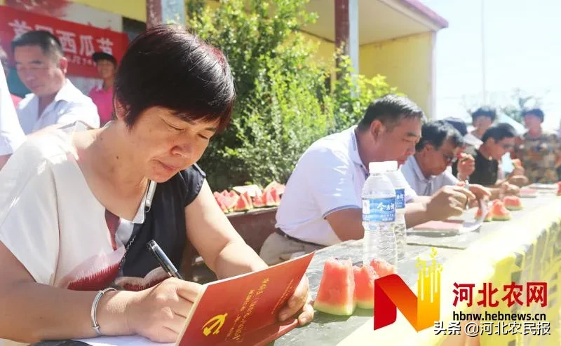 肥鄉“辛寨”西瓜打擂爭雄