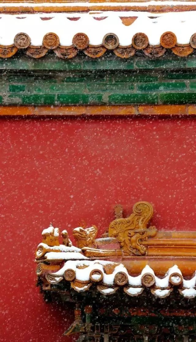 故宫的雪,雪中的猫!静谧深沉的中国风