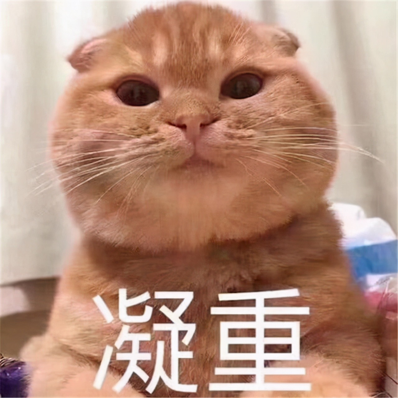 高考分数是怎样诞生的？“解密”阅卷流程，交卷到出分一共分五步