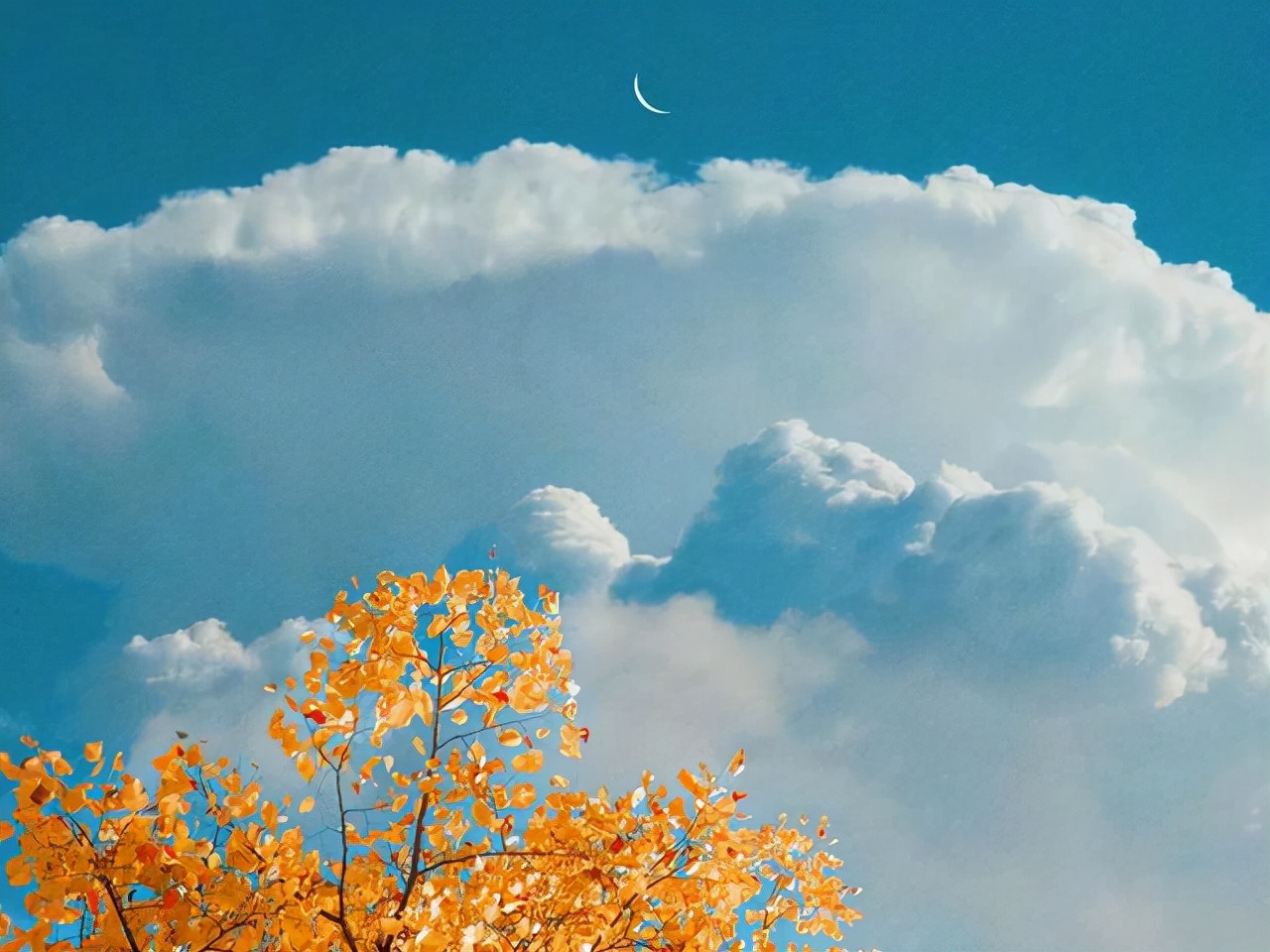 人生百味，随缘，随心，随意（感悟）