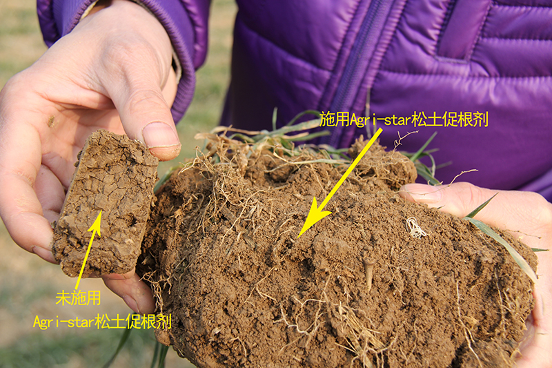 解决土壤问题为啥要用土壤调理剂，听听专家怎么说？