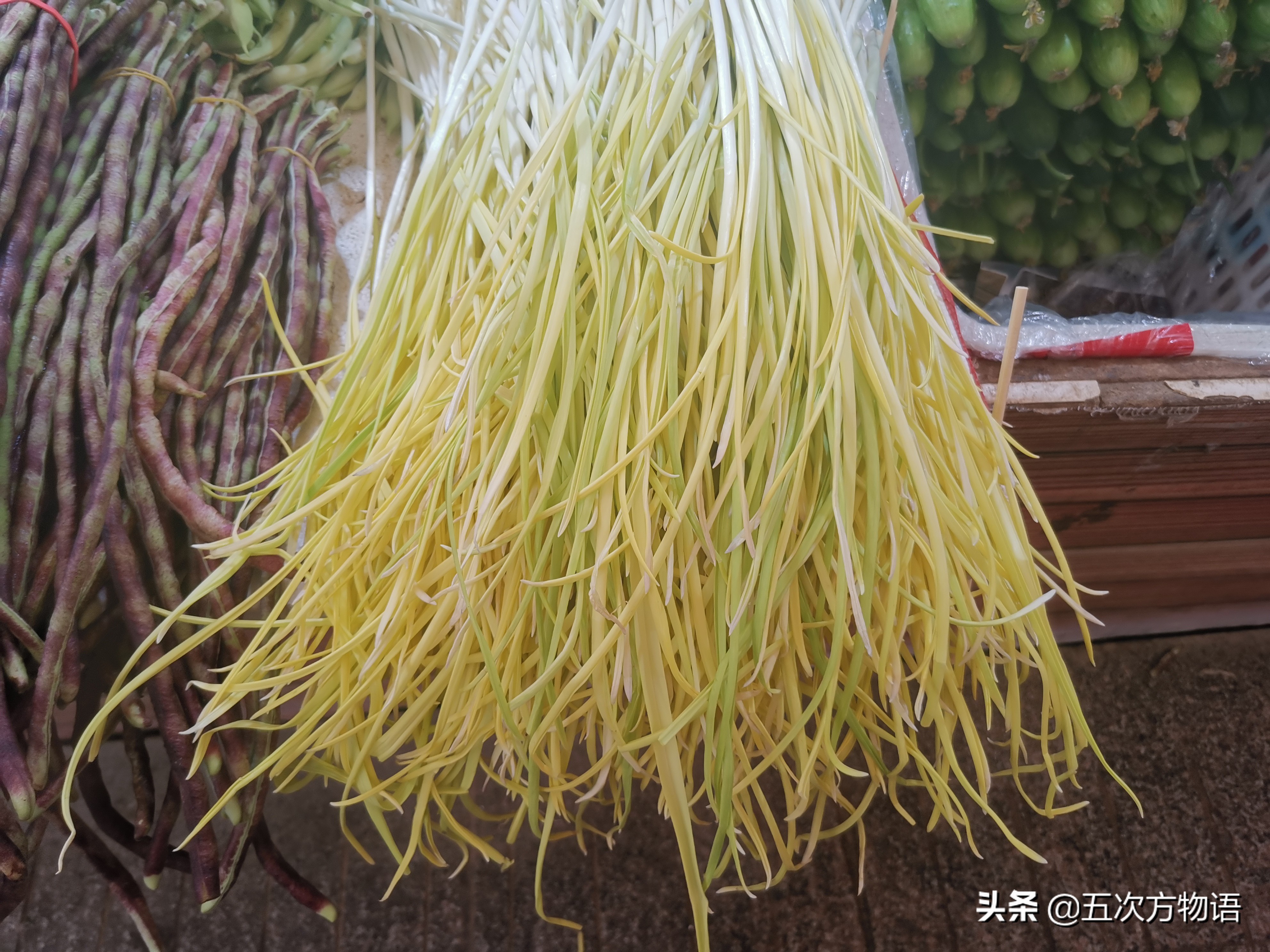 国内葱属蔬菜大全,你认识几个?