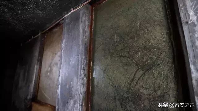 致敬！山东农业大学束怀瑞院士走进央视《大家》