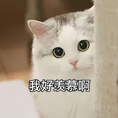 真样减肥运动最快(减肥比较快的运动)