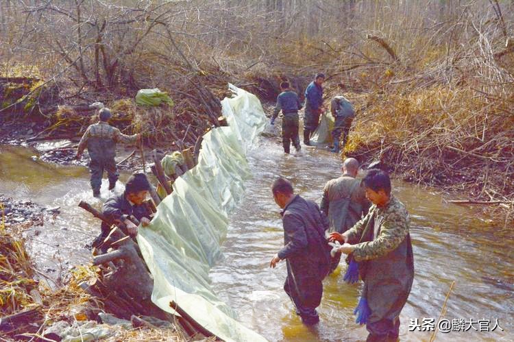 300块钱一斤的农村美味，冰天雪地也要去捉，味道实在太好吃了！