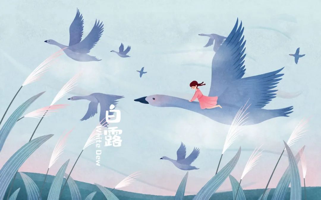 最美的5首白露诗词，清风白露，岁月无忧