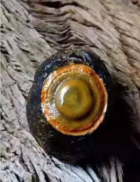 中国奇石图谱