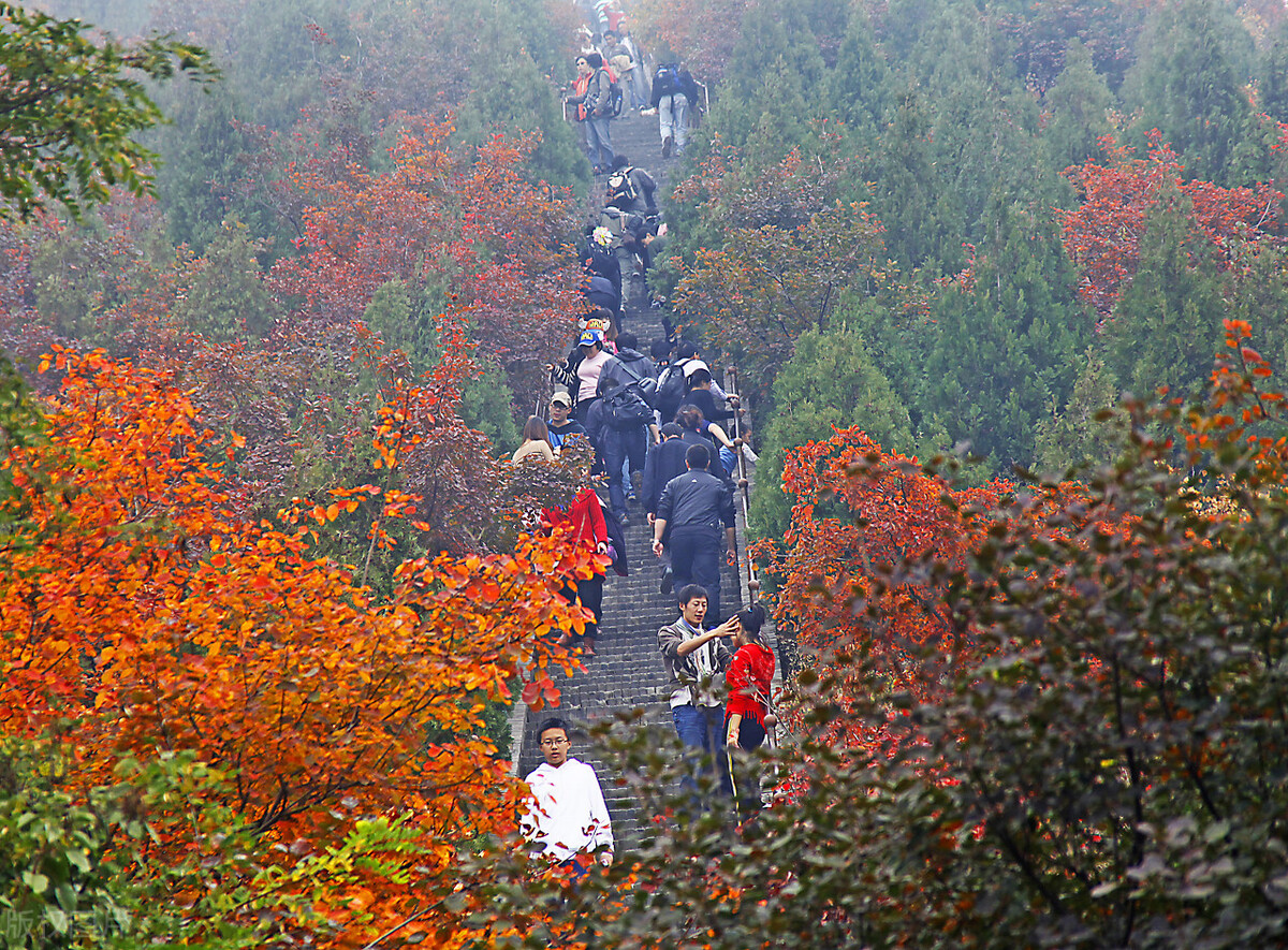 国内姻缘最为灵验的8大寺庙，想脱单看看这里