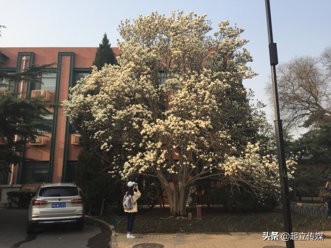 揭秘艺术生艰难高考路：寝室的大姐大，在农村室友床上泼了一桶水