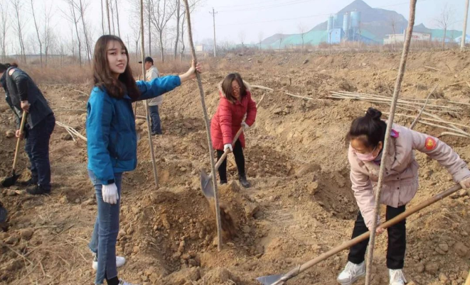 公务员迎新变化，绩效奖金有所下调，各地区福利待遇或有差异
