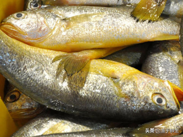 中国十大海鲜产地，吃了这么多年海鲜你恐怕都不知道