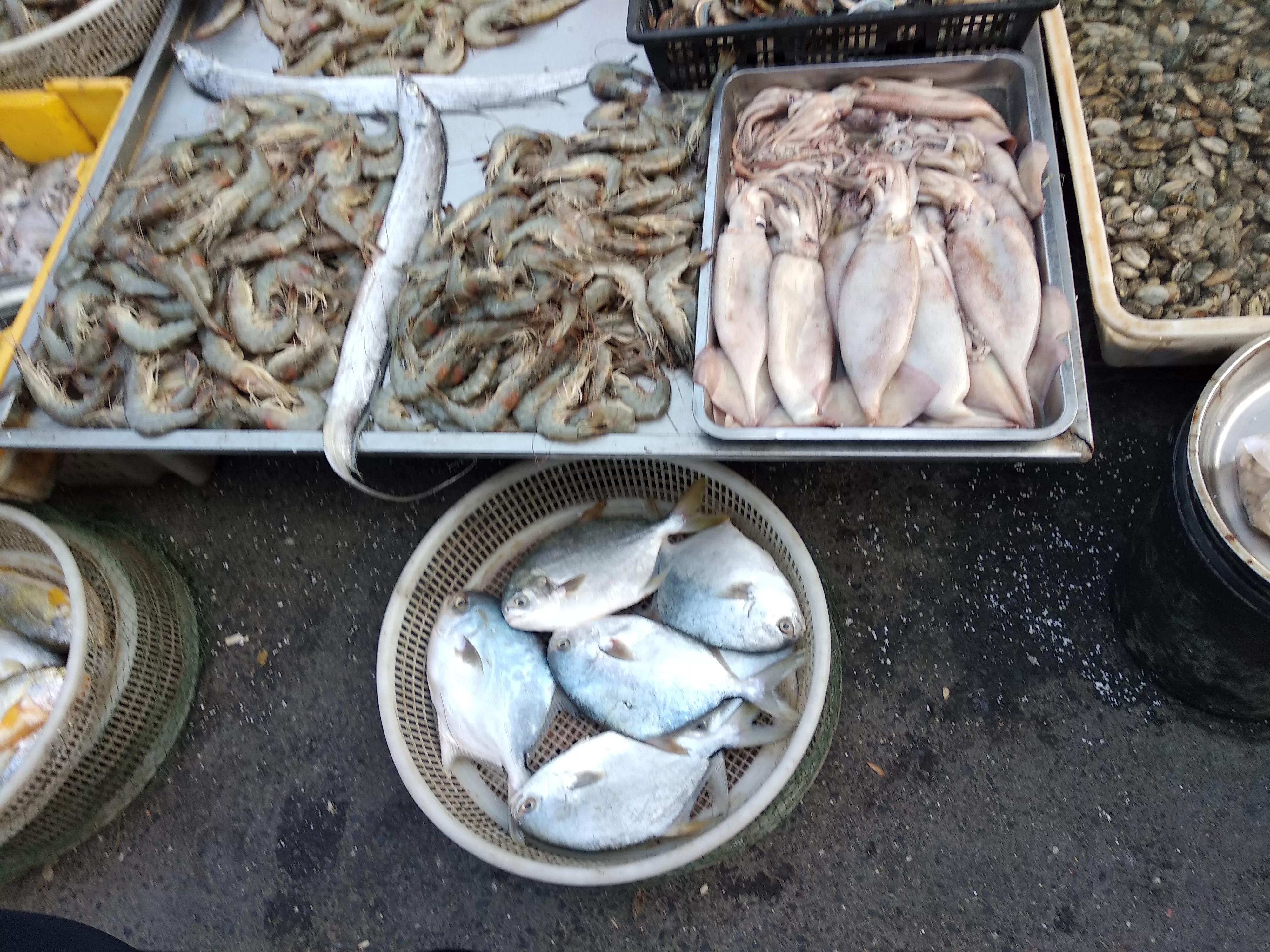 初冬收获季，大连各种海鲜“占领”市场，最便宜的海鲜2元一斤