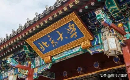 北大学子弑母案疑点重重, 高智商犯罪的故事,这部剧早拍出来了