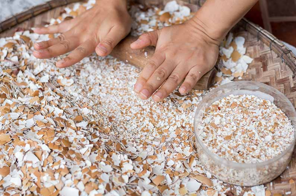 鸡蛋壳别扔了,拿来养花施肥一级棒,养分足,土壤松,爆盆快