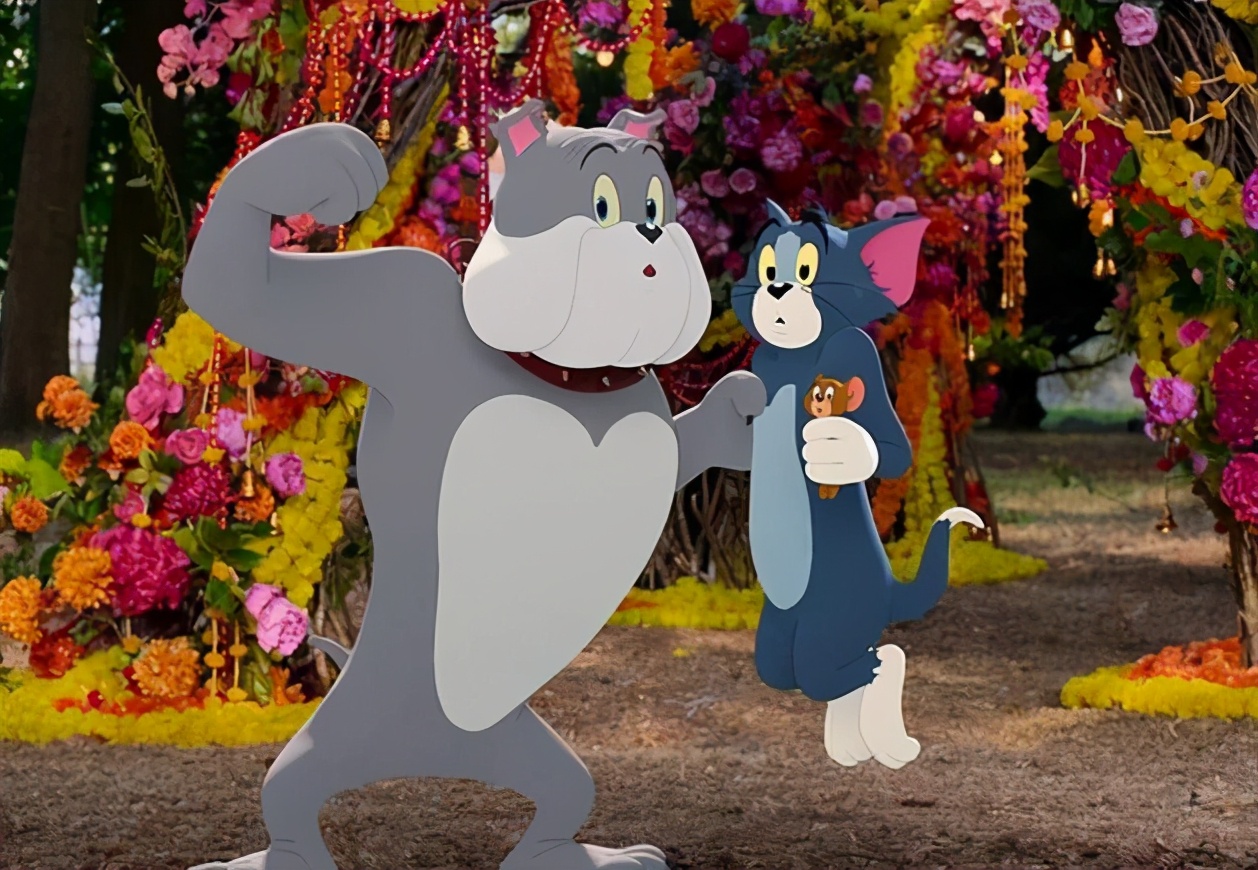 风靡80多年,7获奥斯卡最佳,《猫和老鼠》大电影因何遇冷?