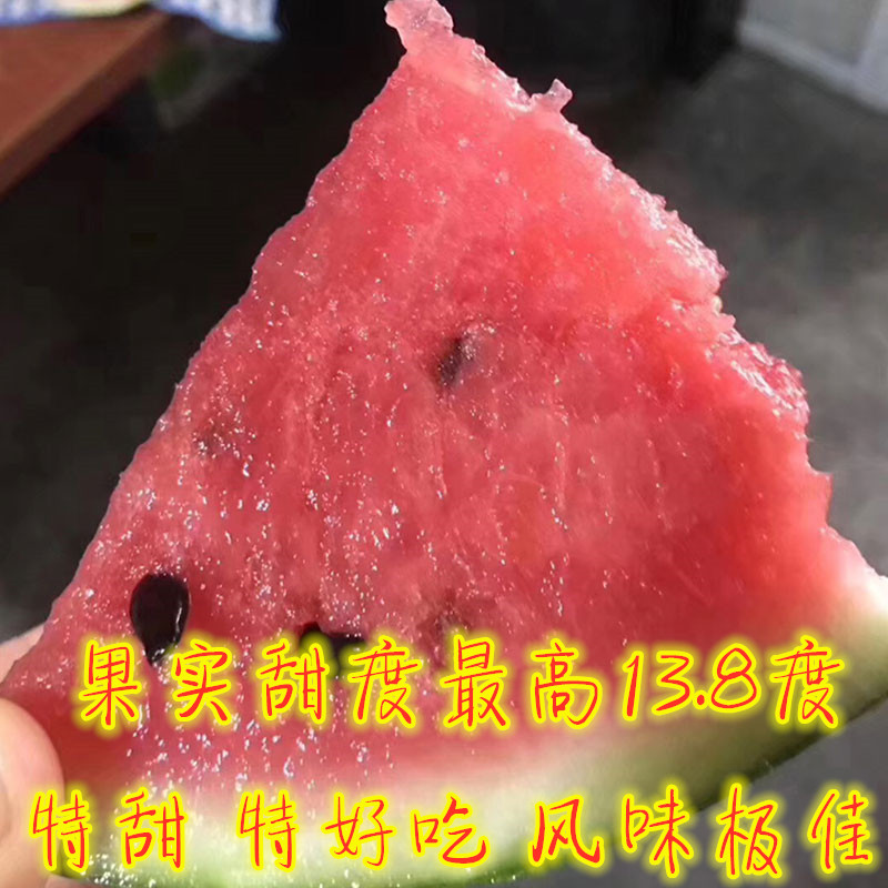 西瓜新品種,西瓜新品種有哪些
