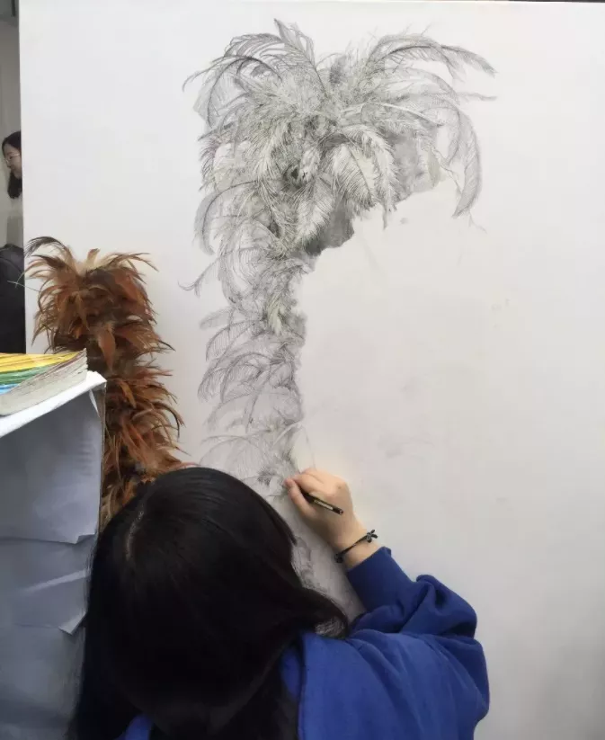 鲁美附中PK央美精微素描，画作犹如实物般逼真，局部细节震撼