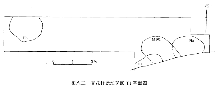 山西省汾阳市杏花村发现仰韶文化遗址