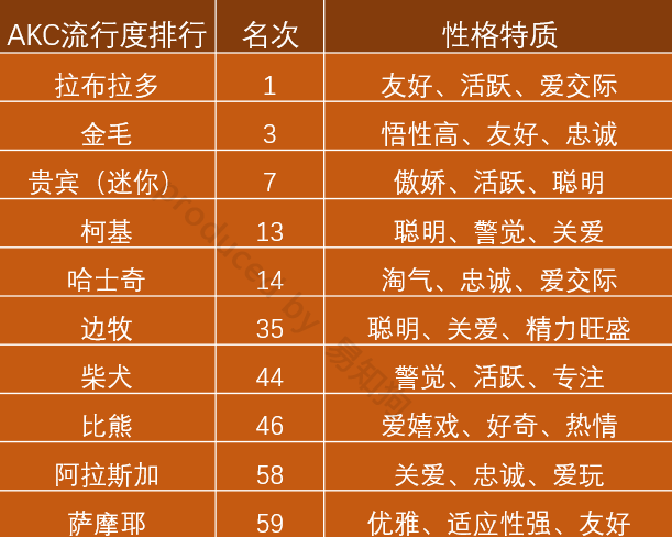 新手养狗必看：国内十大流行犬种横向对比