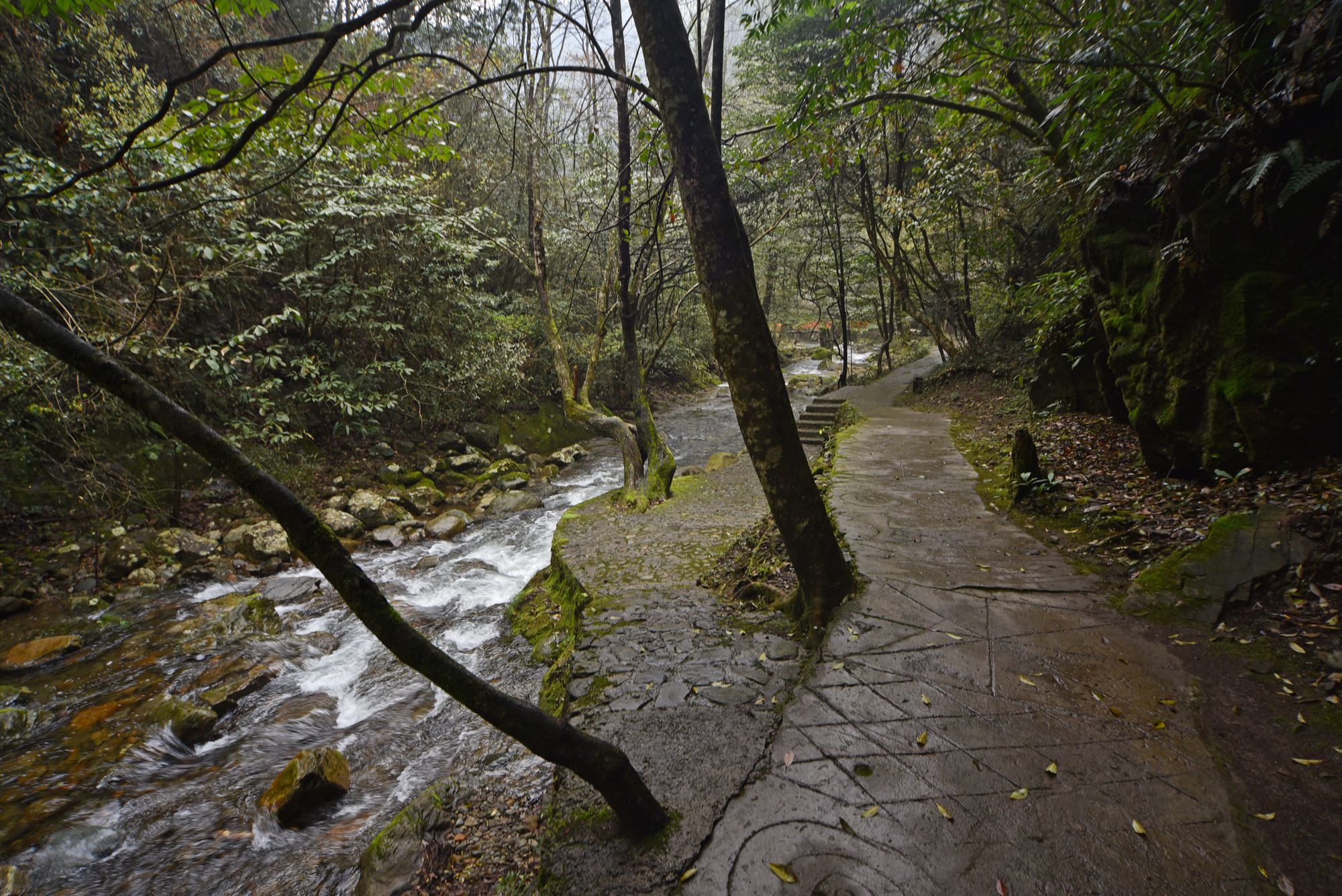 自驾徽州天路，走进真山真水，寻找生活本来的样子