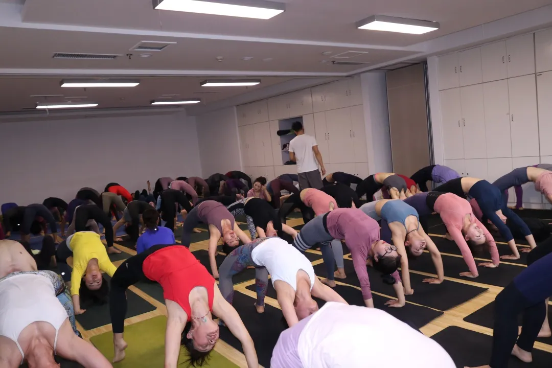 「杨昆瑜伽」基础瑜伽教练培训，专为零基础的你而定制