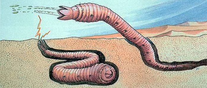 科学的角度分析下：“蒙古死亡蠕虫”的传说有可能吗？