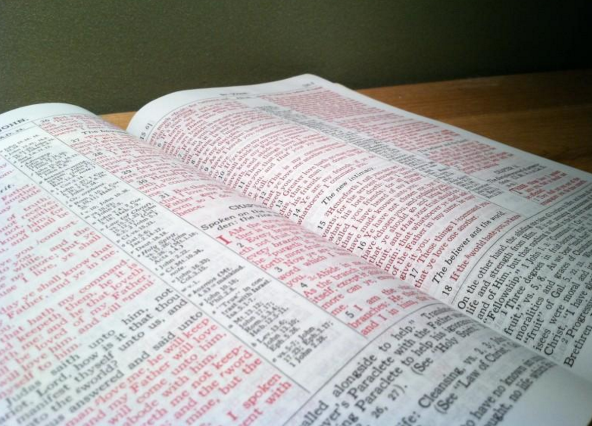 都2020年了！为啥还有人反对学习英语？高考取消英语可行吗？