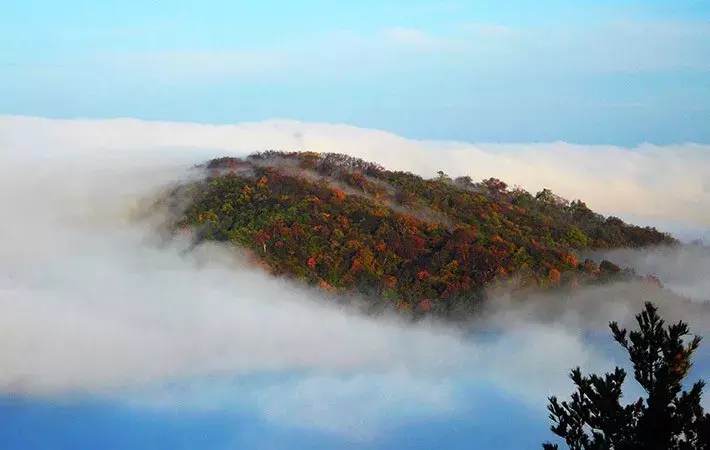 中国醉美秋色在秦岭,2条自驾路线解锁最绚烂秋景,10月最美