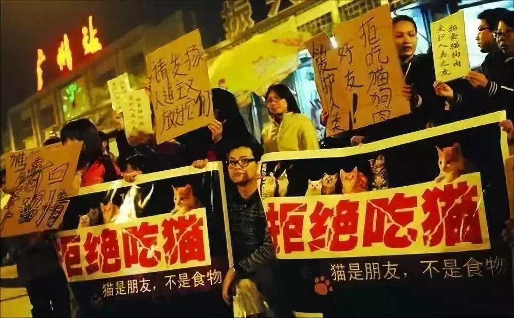 这才是最正确的解读（伊斯兰信徒为何不吃猪肉？这才是最正确的解读）