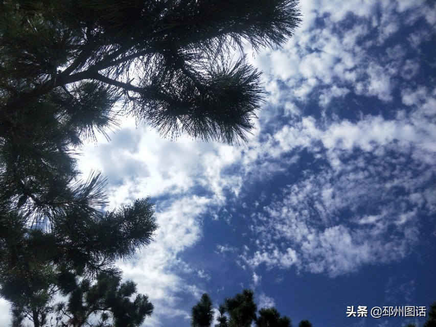 美丽的校园，威海职业学院