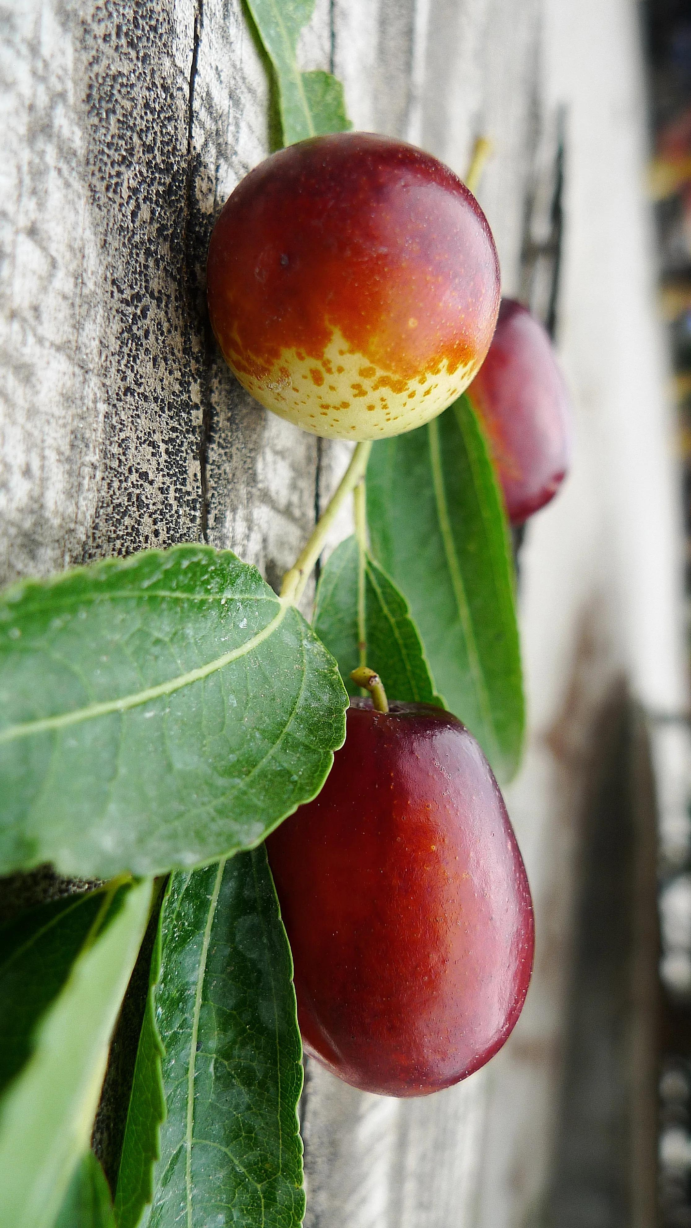 松下lx3相机,松下lx3相机参数_友友